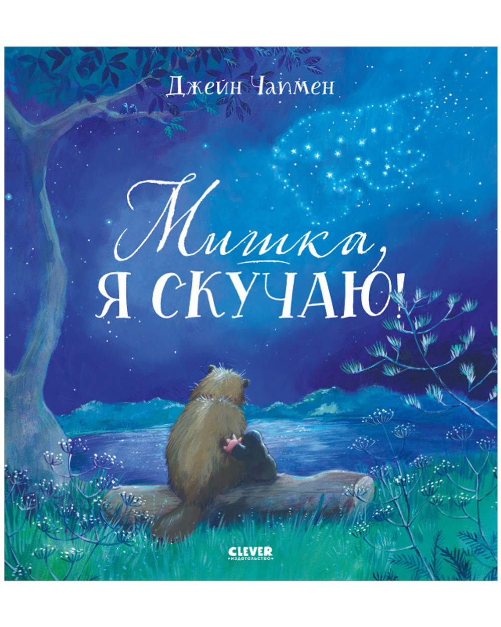 Книжки-картинки. Мишка, я скучаю!
