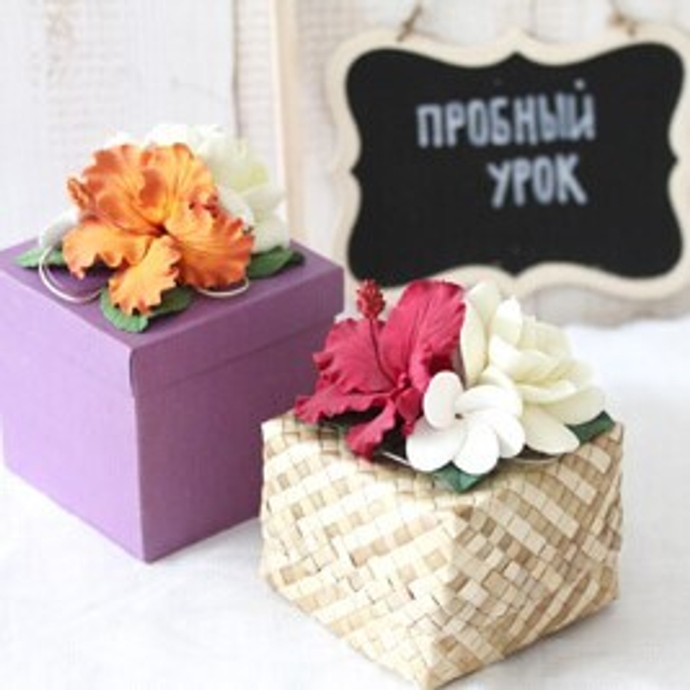 Подарочный сертификат Урок по лепке "Украшение для коробочки"