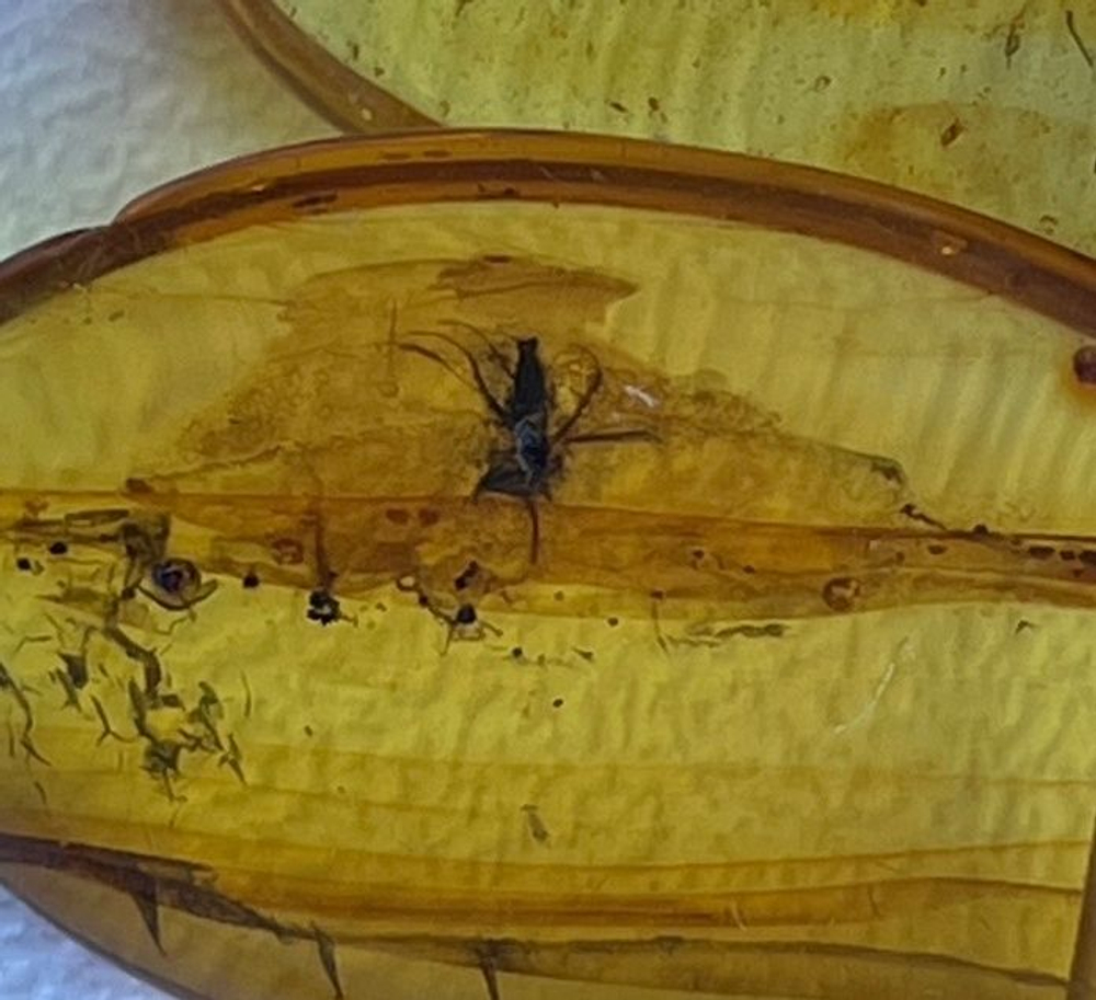 Уникальные бусы из янтаря с инклюзом (паук), длина 51 см, длина бусин до 2 см. Бусы из натуральных камней.