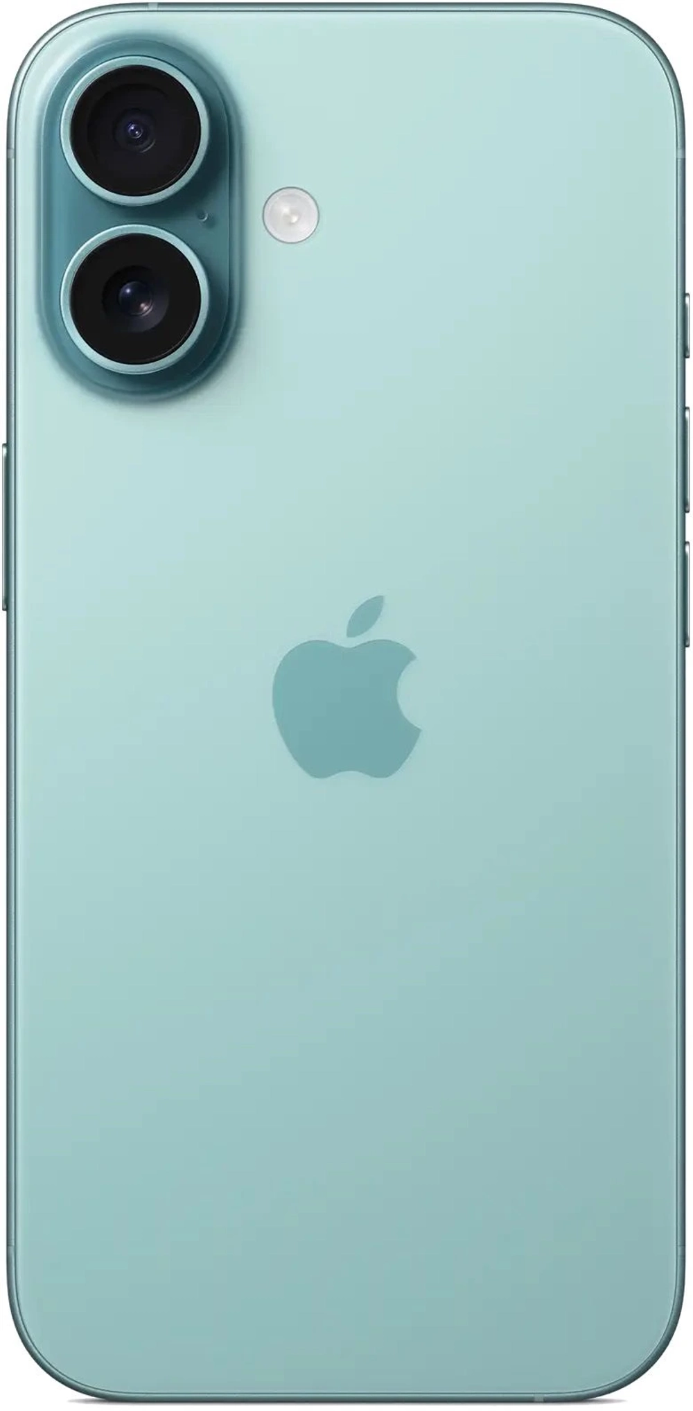 16 512 Teal