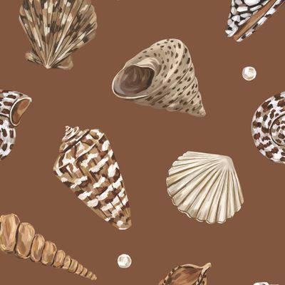 Морские ракушки на коричневом фоне