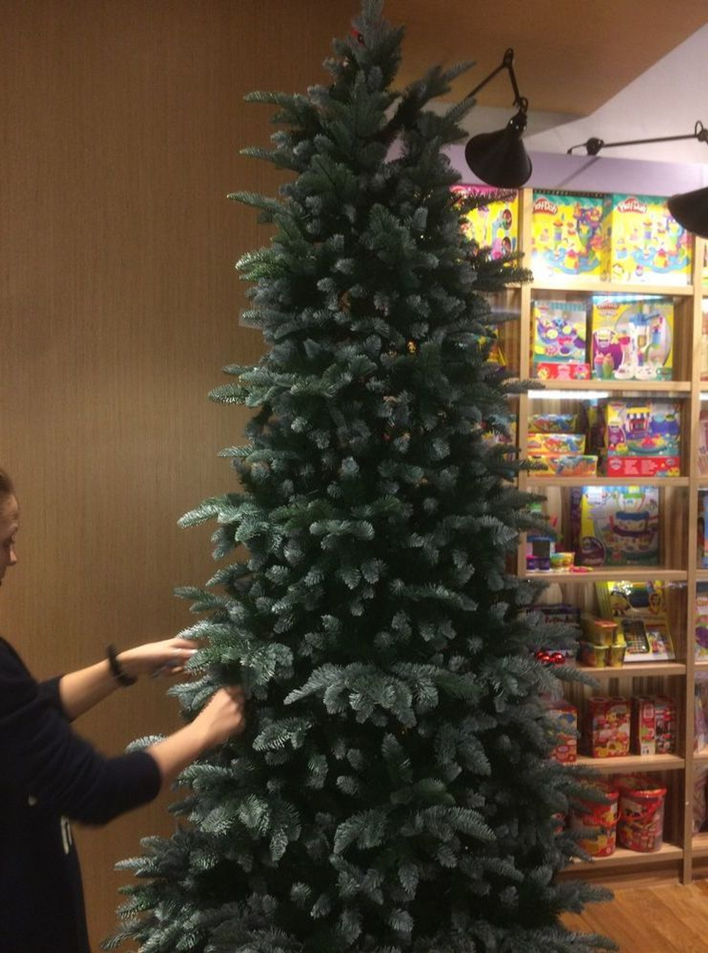 Ель Triumph Tree Нормандия Утонченная заснеженная Голландия фото