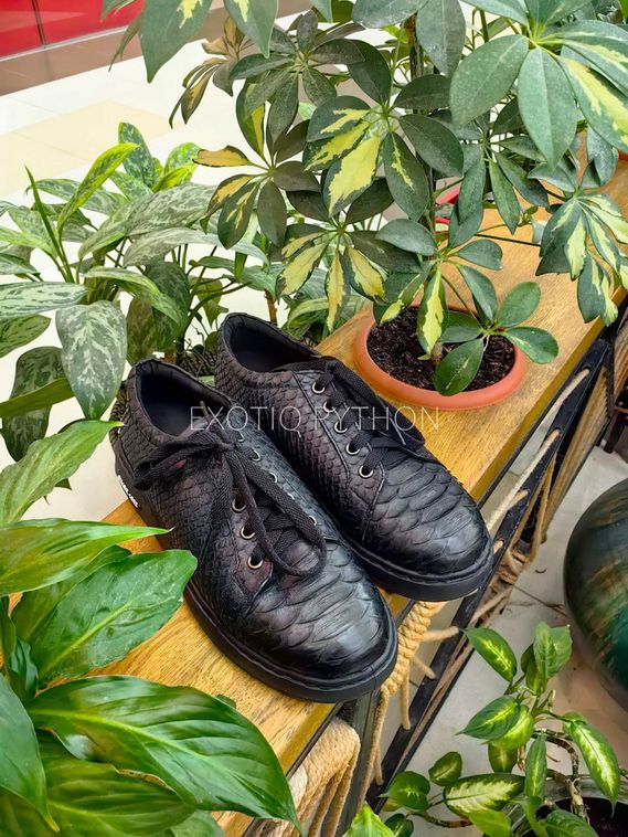 Женские кроссовки из кожи питона SH-190