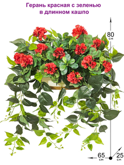 Герань красная с ампельной зеленью 80см в длинном кашпо