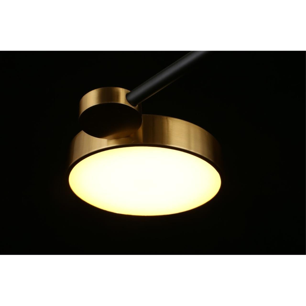 Потолочная светодиодная люстра Aployt Ines APL.043.07.65