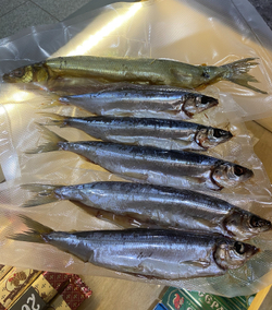 Омуль вяленый 200г шт