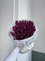 Букет из 51 фиолетового тюльпана - доступен к заказу с 3.03.2025