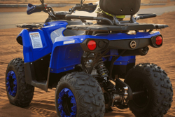 Квадроцикл SHARMAX Hummer 320 RX