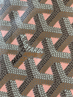Goyard Poitiers Claire-Voie Bag