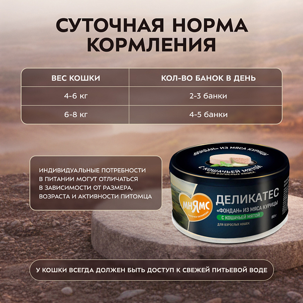 Влажный корм для кошек Деликатес Фондан из мяса курицы с кошачьей мятой Мнямс 80 г 6 шт