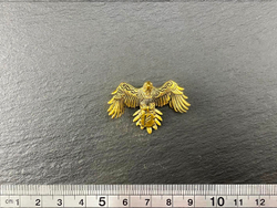 Подвеска. Ворон с руной