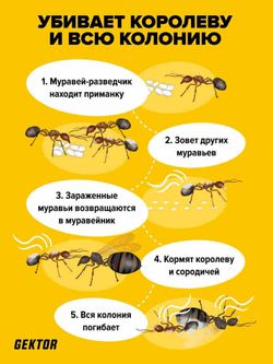 Гектор порошок от муравьев, 380 г