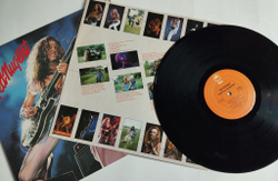 Винтажная виниловая пластинка LP Ted Nugent Weekend Warriors (USA 1978)
