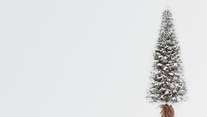 Искусственная ель Киото Заснеженная