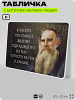 Литературный постер с цитатой Л. Н. Толстого для школы, на стену, на пластике, для интерьера, 40х30 см, Silver Plane x Айдентика Технолоджи