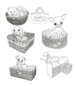 Lovely Dogs. Coloring book