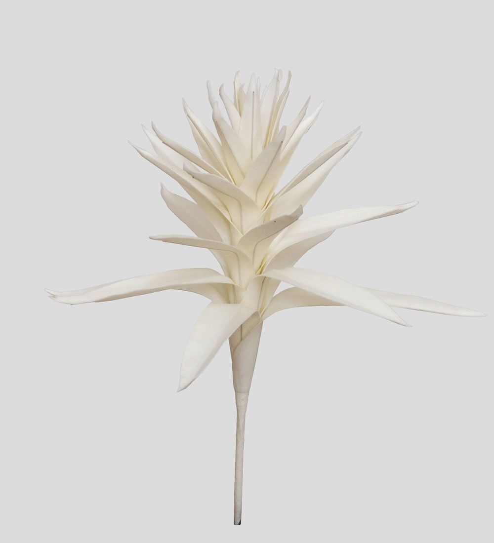 TR 563 Гусмания