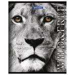 Тетрадь А5, 48 л., BRAUBERG ЭКО, клетка, обложка картон, ДИКИЕ И СВОБОДНЫЕ, 401810, 5шт