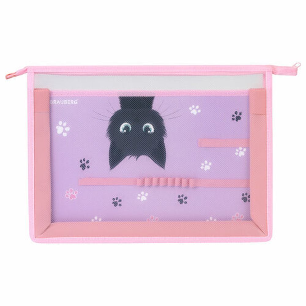 Папка для труда BRAUBERG А4, 2 отделения, пластик, молния сверху, органайзер, "Hide and seek", 273399