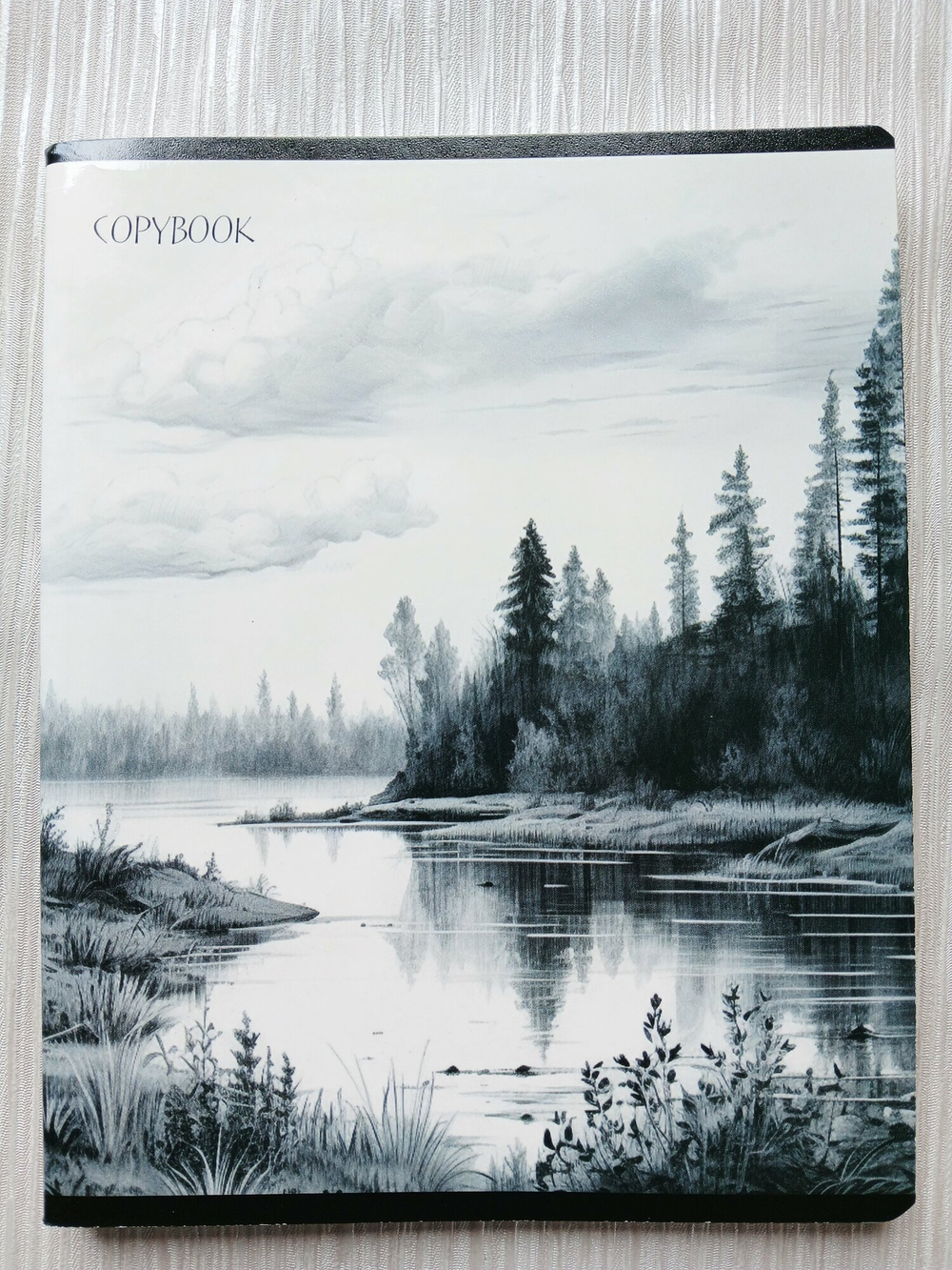 Тетрадь 96 листов А5+. "Просторы Родины", общая, в клетку. Формат А5+ (163*203 мм). Арт.120028. С полями. Комплект 5 шт.