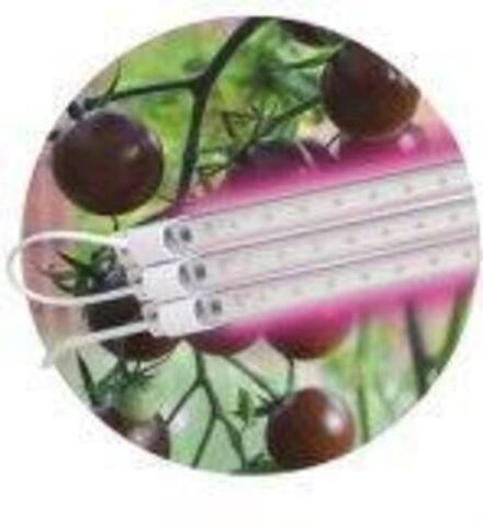 Светильник модульный для растений ЭРА FITO-3х10W-LINE-RB90 красно-синего спектра 30 Вт