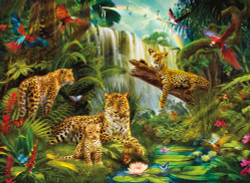 Коллекция Животные