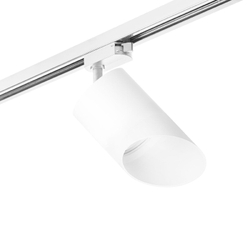 Светильник на штанге Lightstar Rullo R1T348686