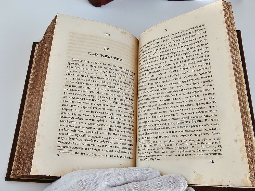 "Поэтические воззрения славян на природу в трех томах". А.Афанасьев. 1869г.