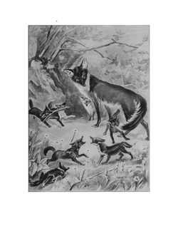 Домино | Сетон-Томпсон Эрнест