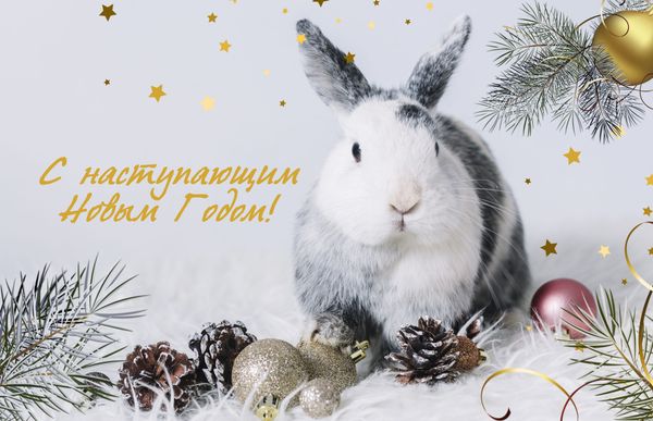 С наступающим Новым Годом!