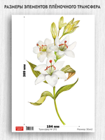 Трансфер для декупажа переводной рисунок для поверхностей 272