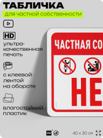 Табличка для частной территории "Частная собственность", на дом, для участка, организаций, предупреждающая, 40х30 см, Silver Plane x Айдентика Технолоджи