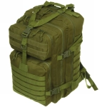 Рюкзак туристический 40л, цвет зеленый,D3