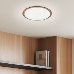 Светильник потолочный светодиодный ЭРА Классик с ДУ SPB-6-70-RC Saturn 70Вт 3000-6500К 5950Лм коричневый кант | Светильники SPB-6 с ДУ