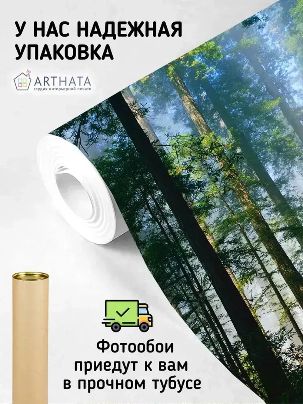 Фотообои сосновый лес в солнечных лучах на кухню 200х270