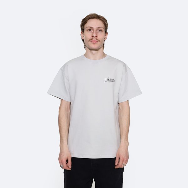 Футболка Anteater Phat Tee 514 (cement) артикул: - купить в магазине Дайс