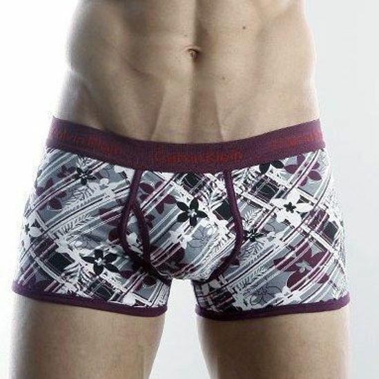 Мужские трусы боксеры Calvin Klein 365 print April Flowers