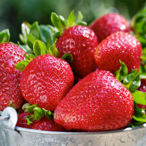 Онда — сорт с удивительным арбузным вкусом. Италия.