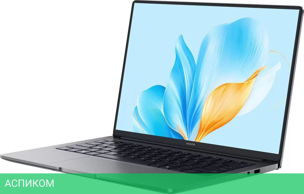 Ноутбук HONOR MagicBook X14 Plus 2025 FRB-X 5301ALYB