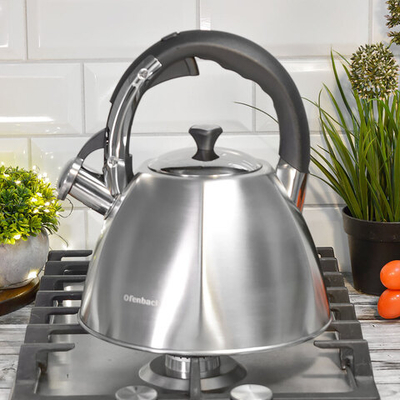 Чайник 3,2л нерж со свистком и ручкой "soft touch", индукция