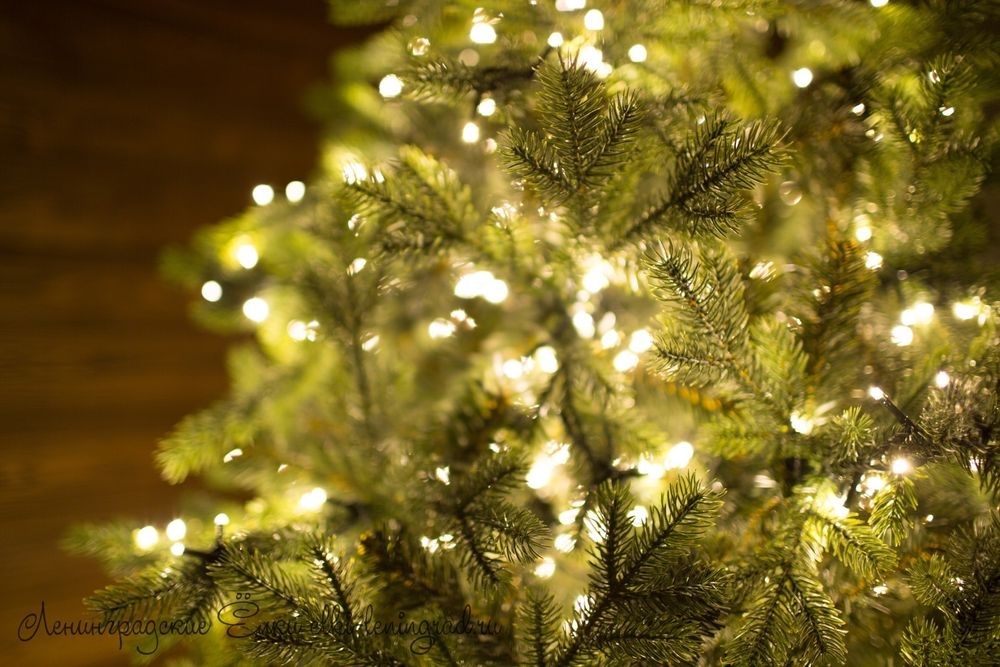 "ГРАЦИО ПРЕМИУМ" Светящаяся 13