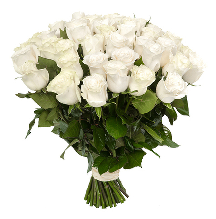 Голландские белые розы "Mondial" (80 см)