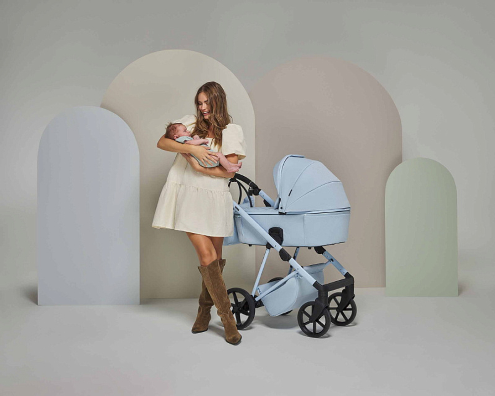 Детская коляска Adamex Delta Natura 3 в 1 DN-1-SKY