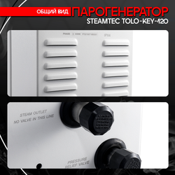 Steamtec TOLO KEY 120 - 12 кВт (стандартный модуль управления), парогенератор для хамама и турецкой бани