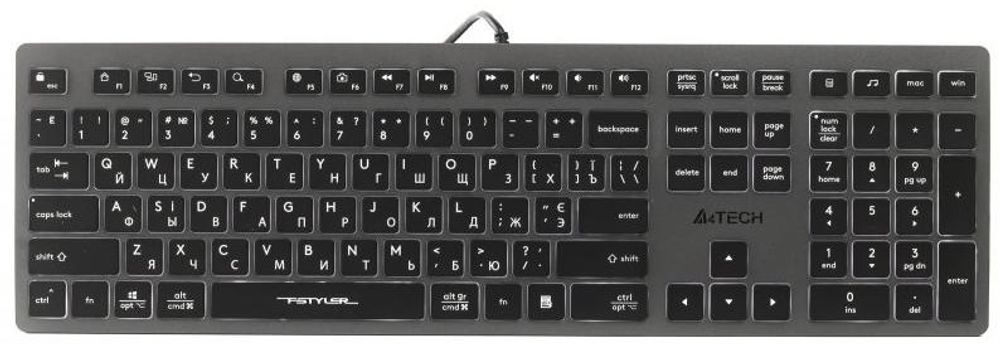 Клавиатура A4Tech Fstyler FX60H черный