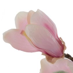 GAEM Цветок искусственный "Магнолия", L28 W17 H82 см
