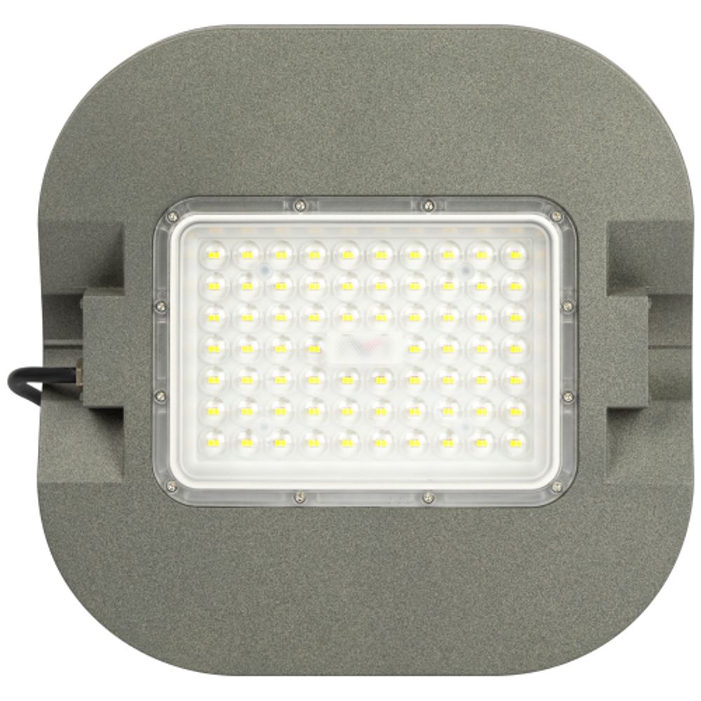 Светильник светодиодный садово-парковый ЭРА SPP-505-0-50K-050 50Вт 7000лм 5000K IP65 КСС Д серый