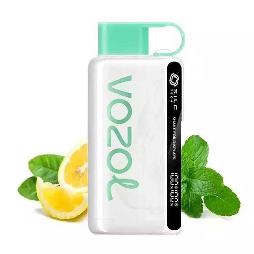 Vozol Star 12000 - Lemon Mint (5% nic)