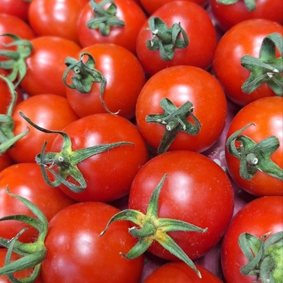 Томат Коктейльный