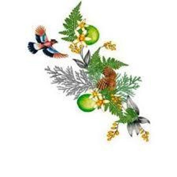 Woods of Windsor Cedar Woods